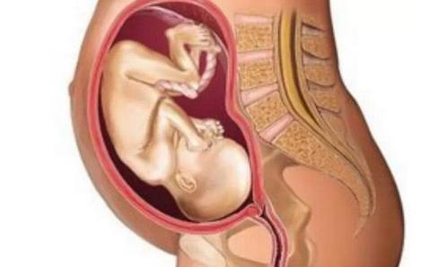 孕中期肋骨疼的不行像岔气,孕中期肋骨疼平躺没事