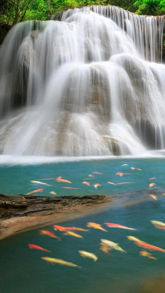 免费动态山水壁纸全屏,真实山水动态有声壁纸全屏