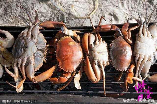 农家院采摘联盟(紫塞)乡村游攻略十六:唐山乐亭老船家农家院