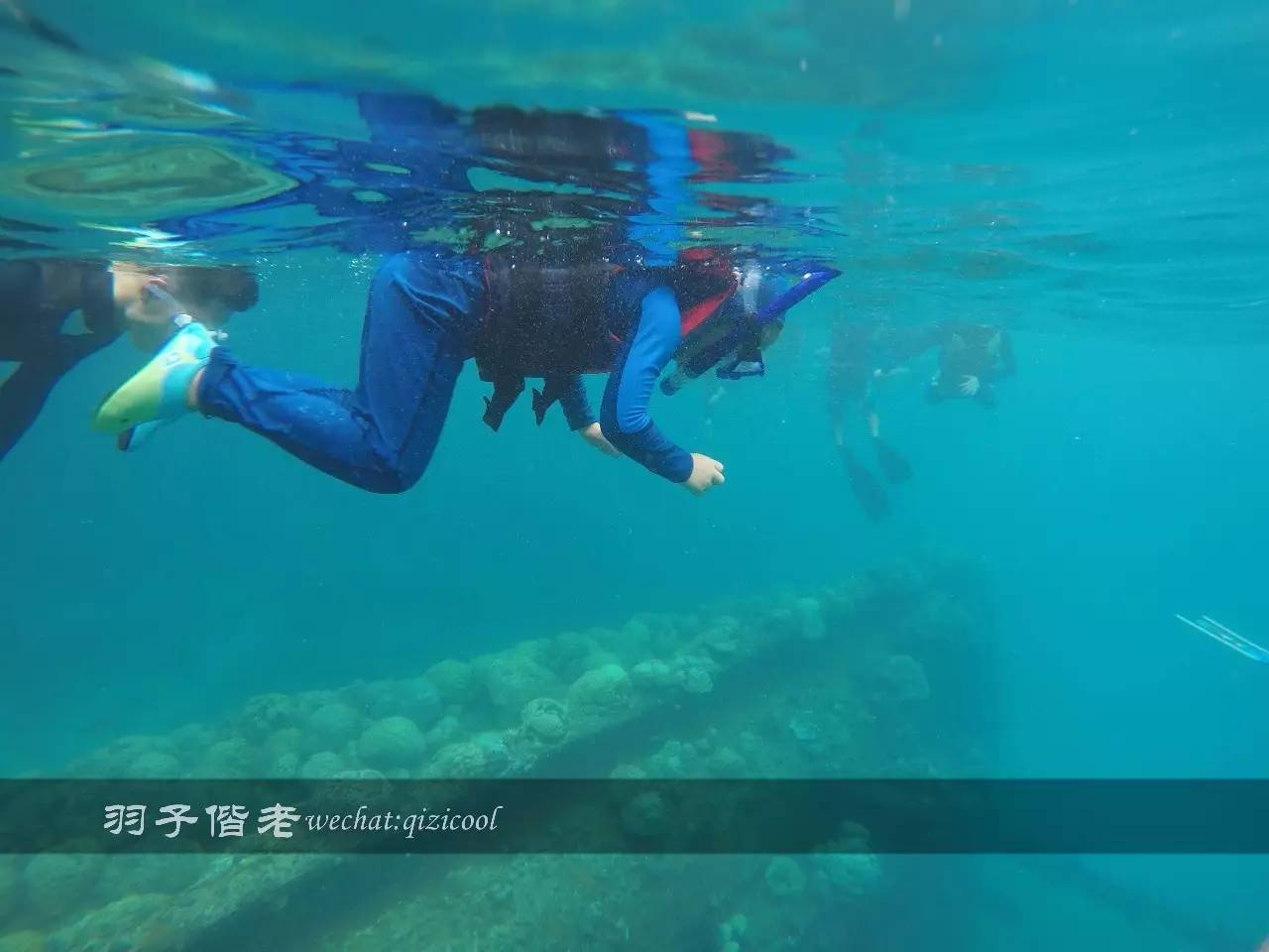 帕劳旅行真实感受,三次帕劳是一种什么体验