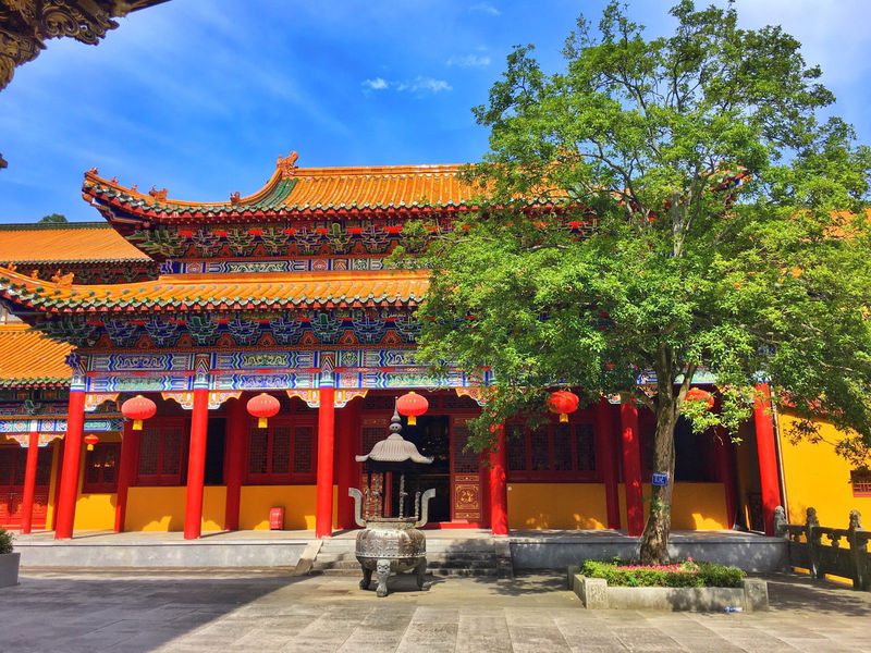 一场说走就走的夏日旅游,一场说走就走的山水旅游