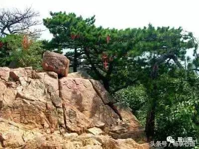 对不起,我要去鞍山了,别再找我了!