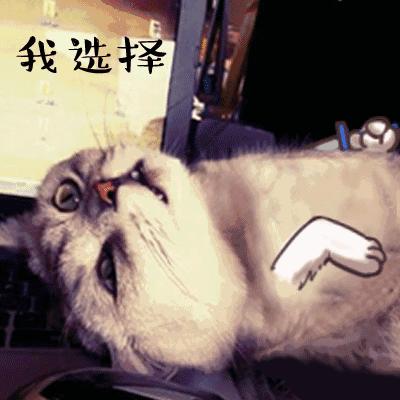 唇色深素颜口红不沾杯推荐,唇色偏深不沾杯口红