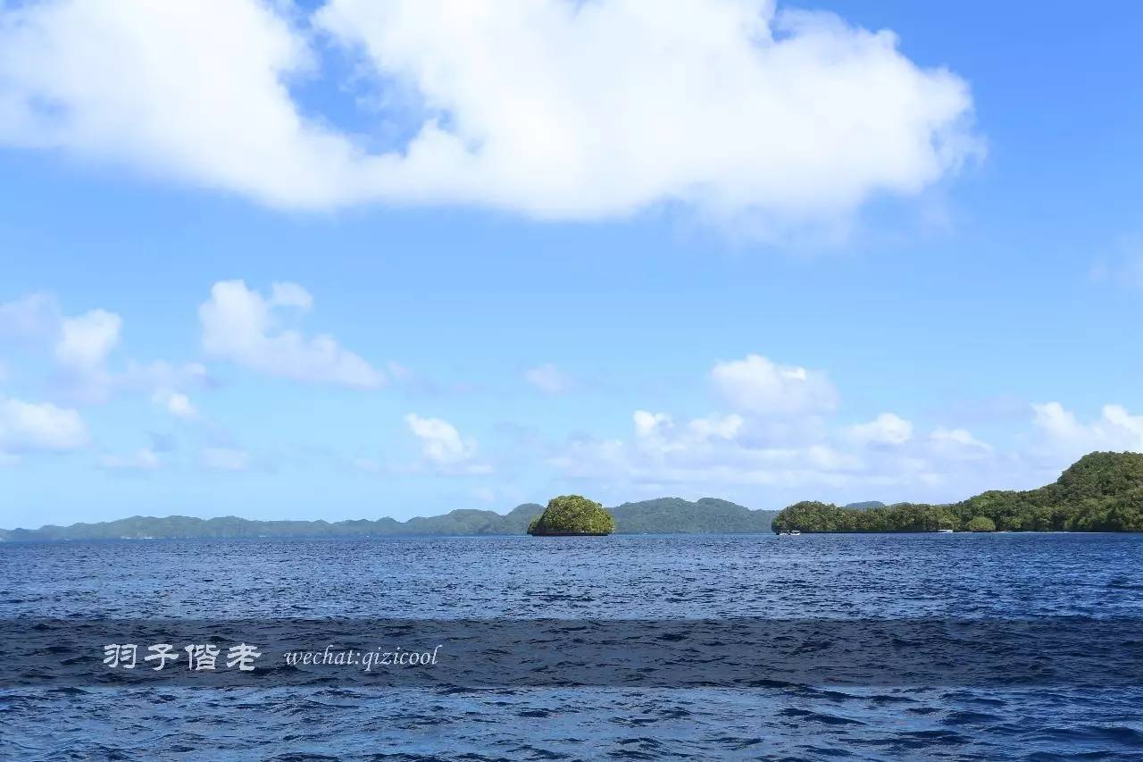 帕劳旅行真实感受,三次帕劳是一种什么体验