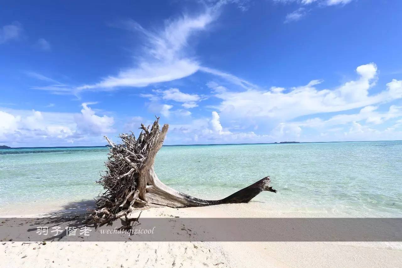 帕劳旅行真实感受,三次帕劳是一种什么体验