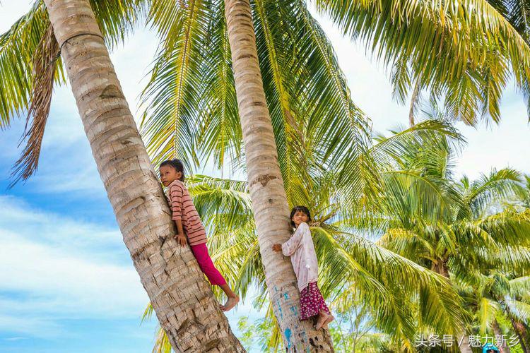 仙本那跳岛简介,仙本那跳岛图