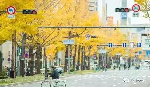 身边有很多人去日本旅游,去日本旅行的好地方