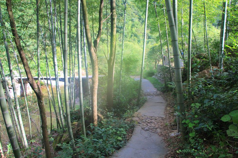 一场说走就走暑假旅行,一场说走就走的旅行来了