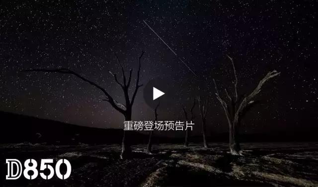 生日快乐，我的尼！｜尼康100周年庆祝帖