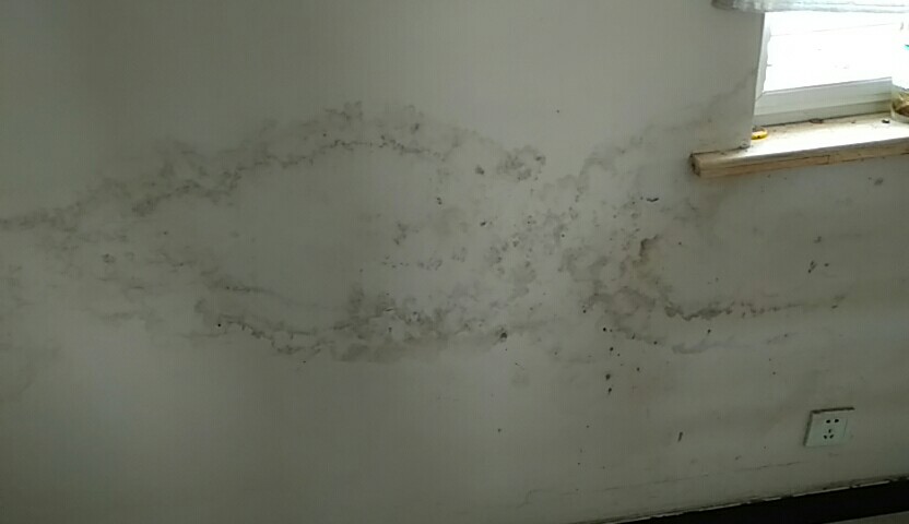 墙体发霉返潮的原因,墙体发霉返碱涂刷