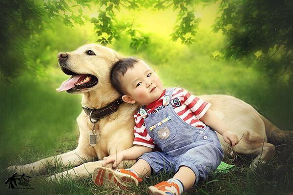 备孕可养狗狗吗,想备孕能养狗狗吗