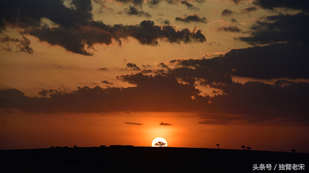 肯尼亚大草原狮子为什么不攻击人,肯尼亚非洲大草原雄狮大战犀牛