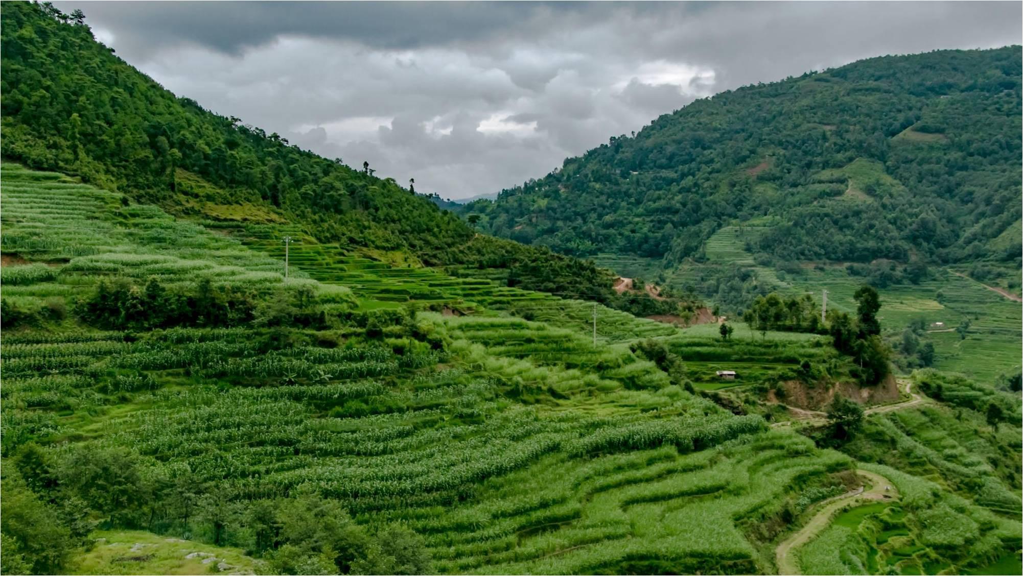 御金府小区,御金府地和房产