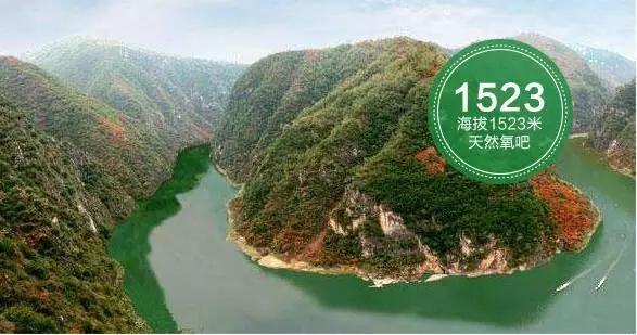 荷兰乳牛中老年奶粉怎么样,为什么那么多人推荐荷兰牛栏奶粉