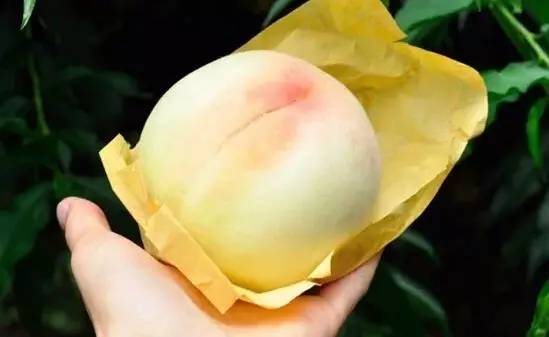 不是天生黑的被晒黑的怎么变白,不是天生黄皮怎样美白