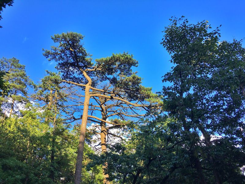一场说走就走暑假旅行,一场说走就走的旅行来了