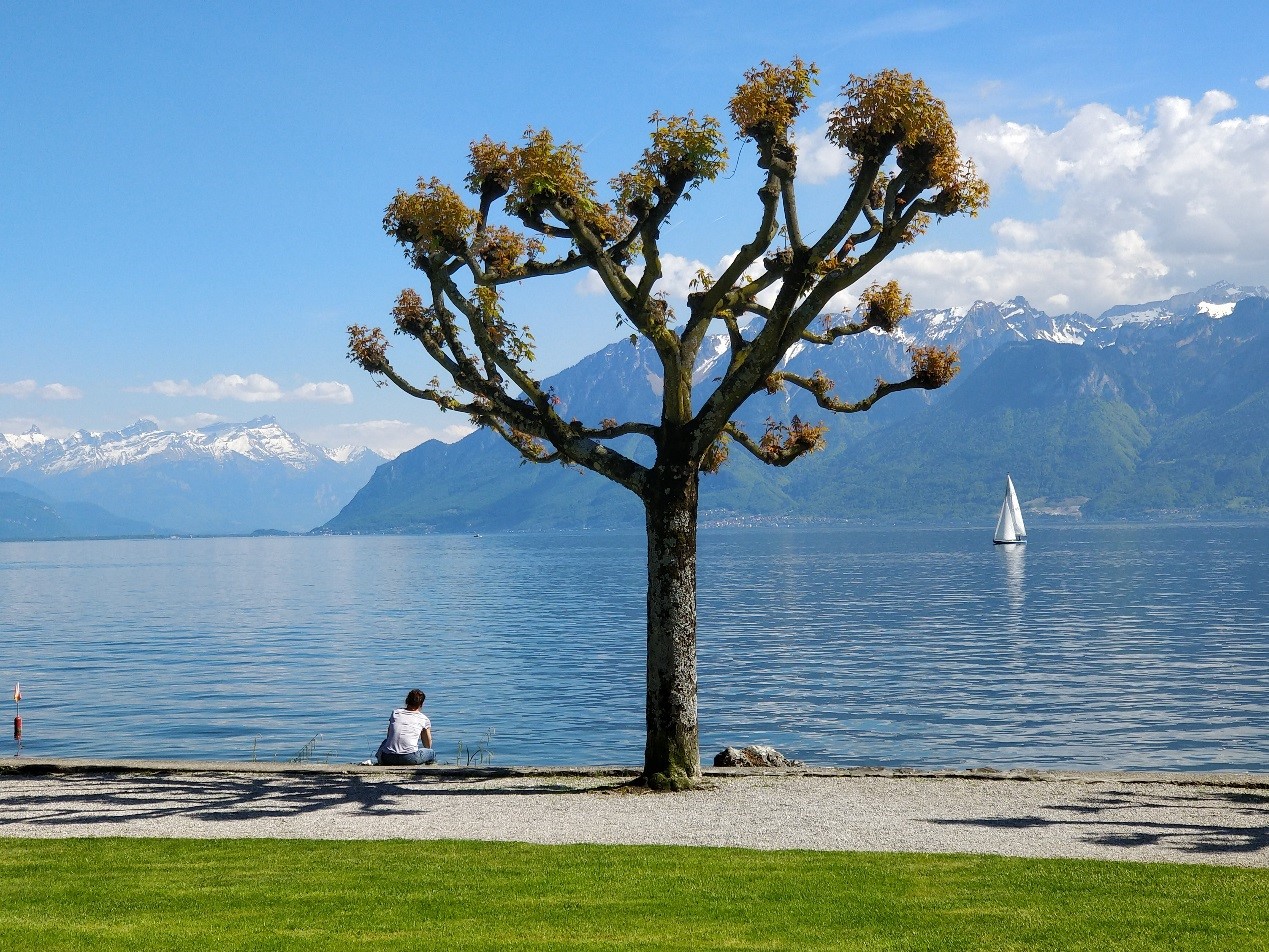 amoled屏的5g手机,一加55g手机评测