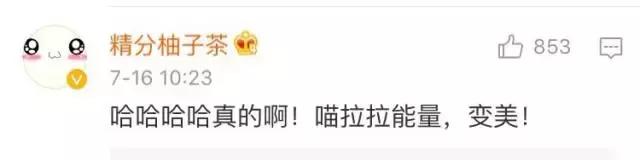 成都流浪猫割双眼皮后的图片,给流浪猫割双眼皮