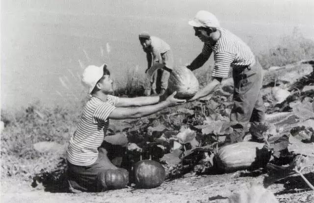 建军90周年：我军“锅碗瓢盆”那些事儿，这回全明白了