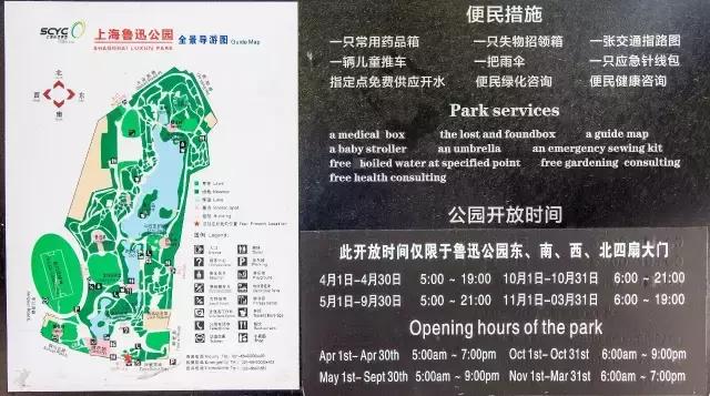 高温下的上海城市,上海40度以上高温