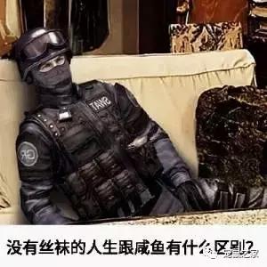 神演技，超实力表演帝，竟然是只仓鼠