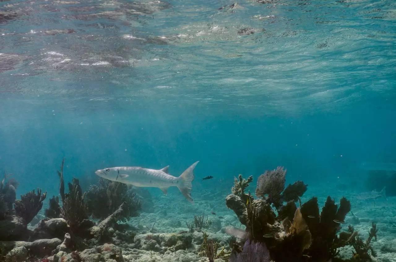 该怎么选择徕卡相机拍照,拍摄相机怎么选