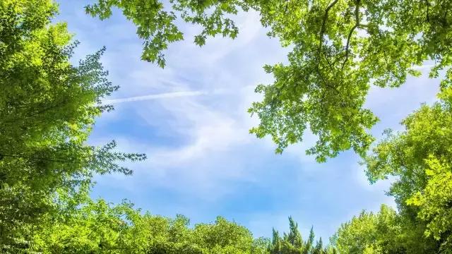 高温下的上海城市,上海40度以上高温