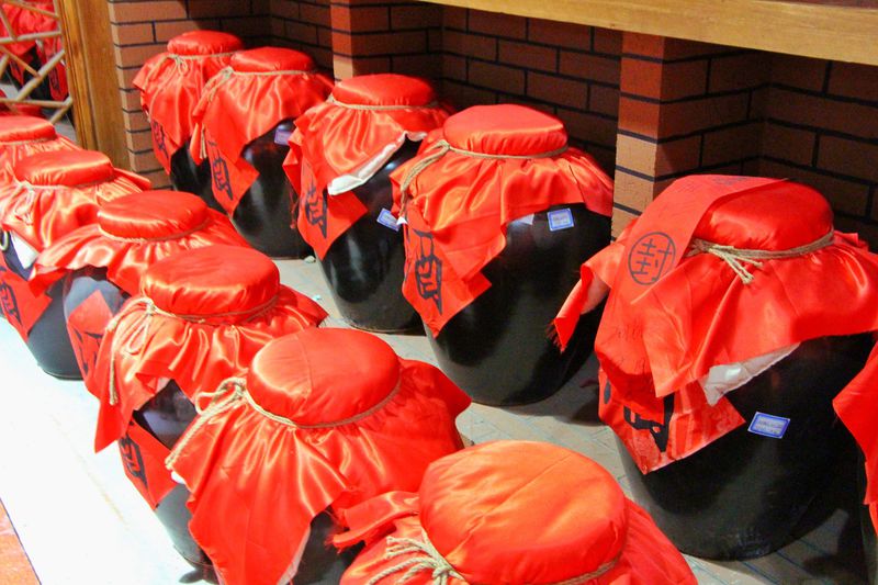 青山绿水间自由的飞翔,青山绿水放飞心情拥抱大自然