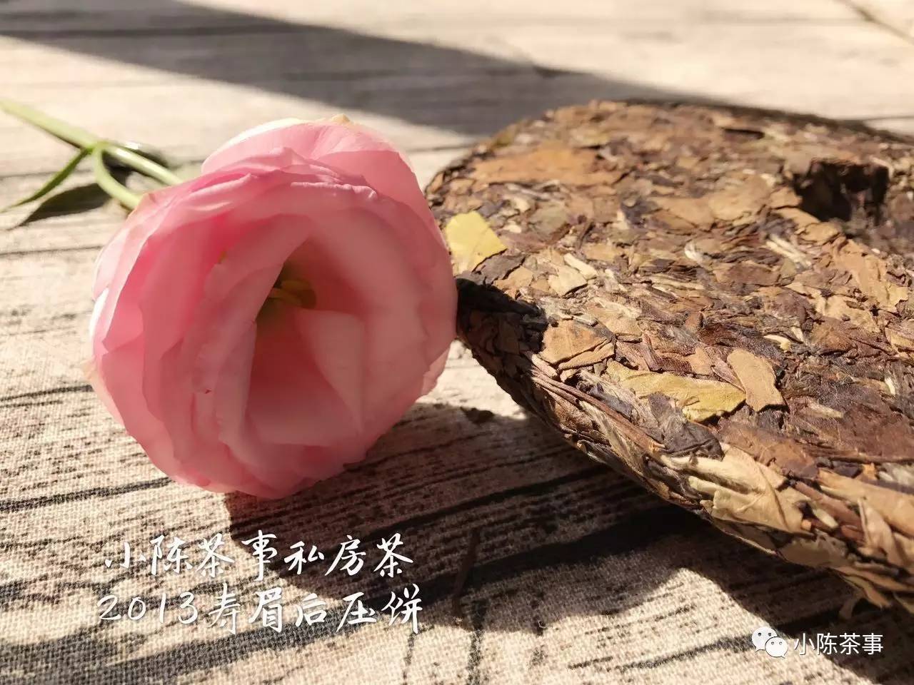 真正的白茶大师是什么样的?