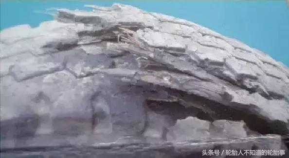 卡车轮胎故障分析大全,卡车轮胎侧面的破损怎么修复