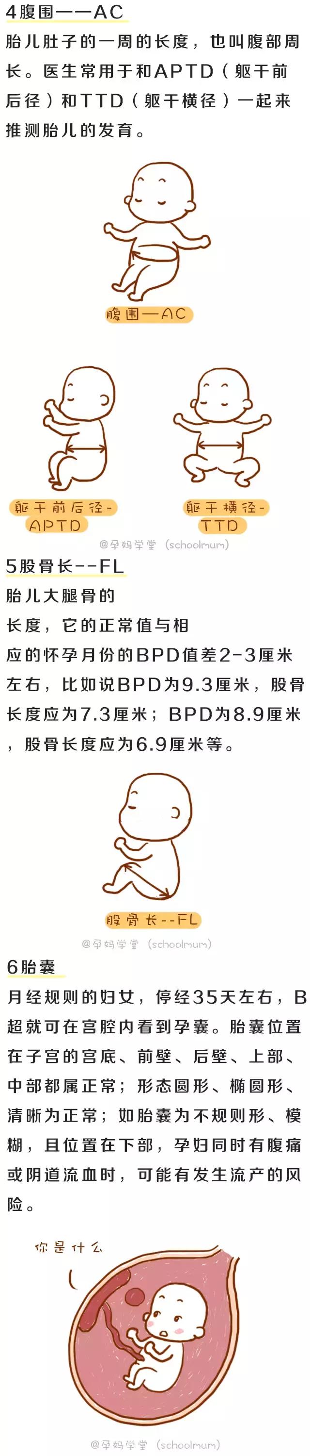 3分钟读懂孕期B超单！胎宝发育是否正常，答案都在这些数据里！