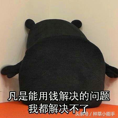 小钱买大牌｜贵妇级好物百元搞定