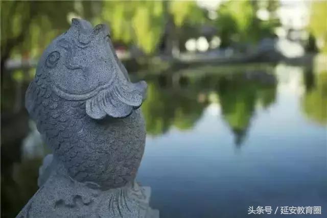 延安的学子们,是时候了解一下这所颜值、实力双爆表的大学!