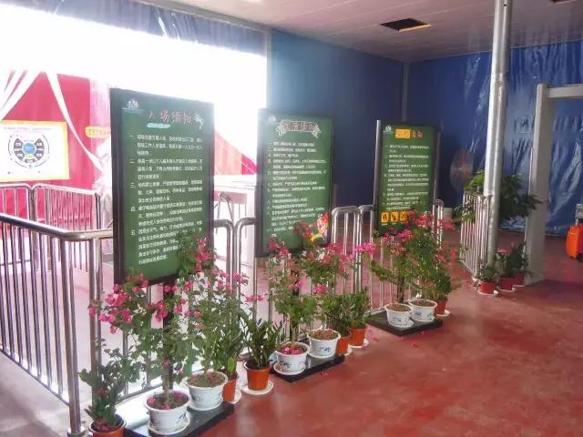 实探冰雪武汉,大马戏武汉市