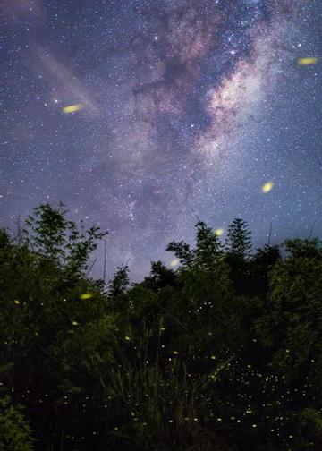 入门级便捷旅行三脚架推荐,爬山便携三脚架