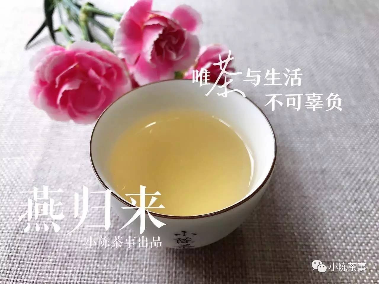 真正的白茶大师是什么样的?