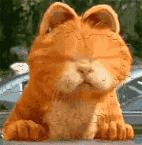 refa卖200元是真的吗,韩国买refa一般多少钱