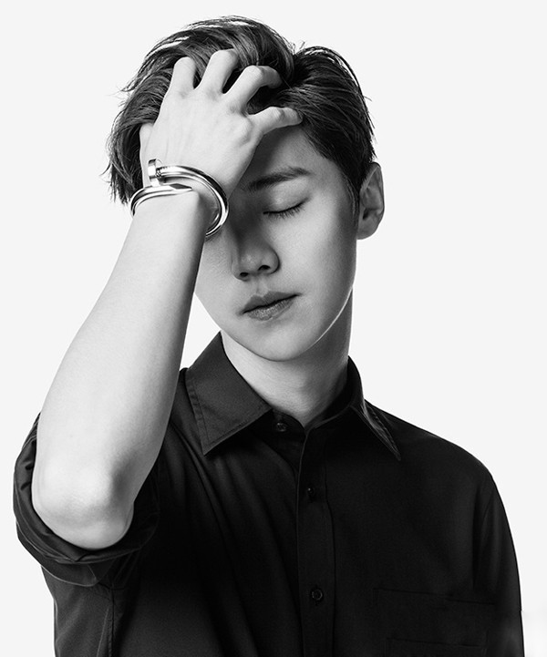 唐晶戴的饰品 (唐晶首饰)