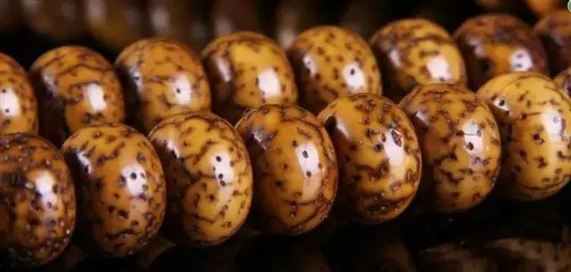 星月入门指南｜这几个问题你不懂就糗大了