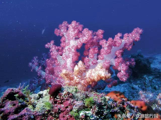 马尔代夫grandpark沙屋水屋,马尔代夫constance酒店