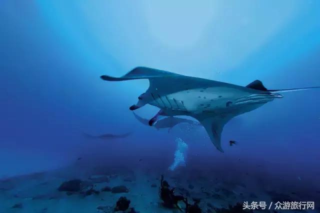 马尔代夫grandpark沙屋水屋,马尔代夫constance酒店