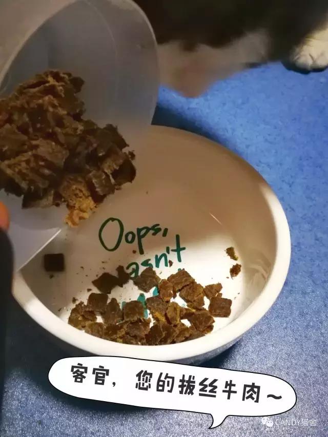 体验报告,猫生烘焙猫粮测评