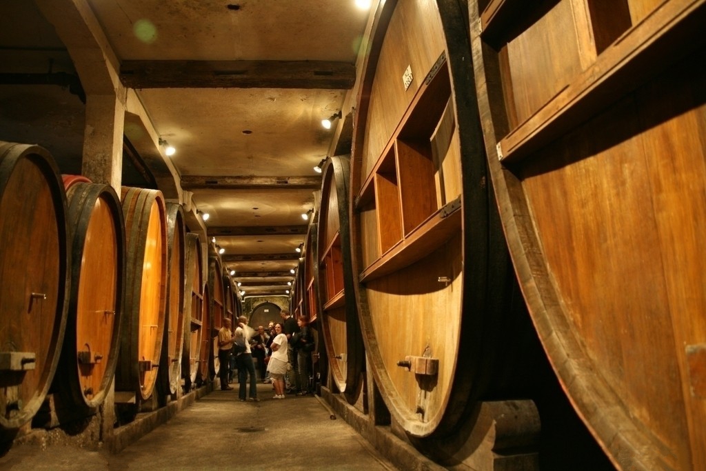 橡木桶为什么不漏,怎么才能买到橡木桶