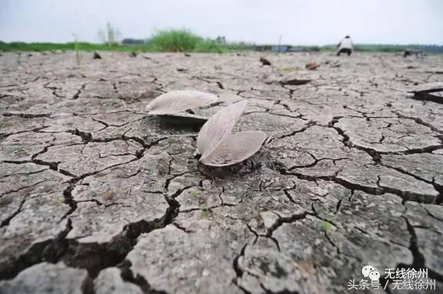 暴露年龄的真实情况,暴露你年龄的那些年