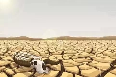 我们每天都随身“带着”18斤宿便？别逗了，哪来那么多“宿便”给你清啊！