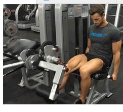 股四头肌，不只是健身爱好者的事，应该所有人都该加强锻炼！