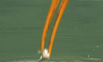 王者手速怎么练,魔方如何练手速