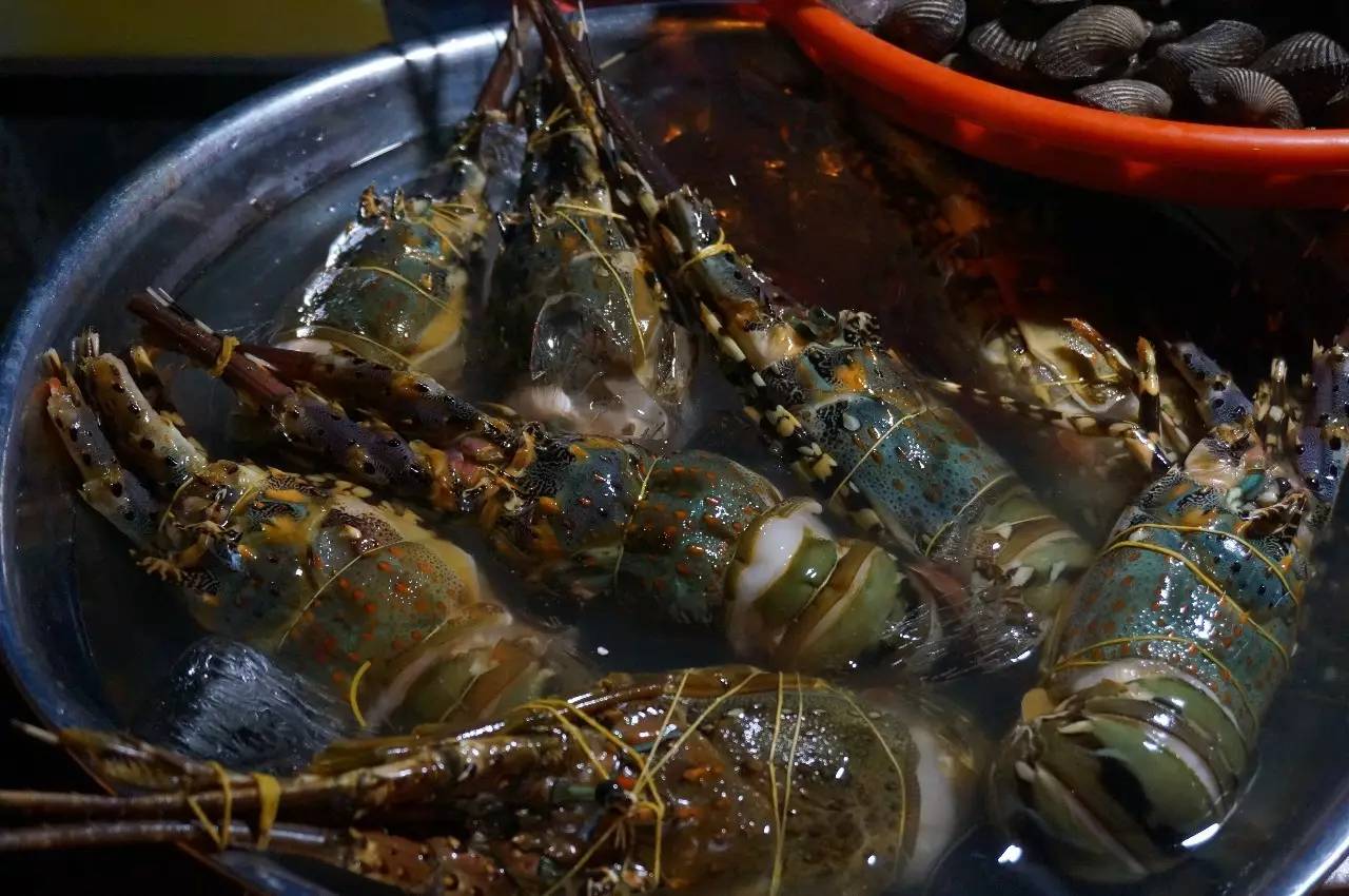 我的越南旅行记,我的芽庄之行全集