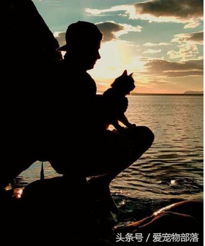 鍙互鎷夐洩姗囩殑鐚挭,浼氭媺闆﹪鐨勭尗