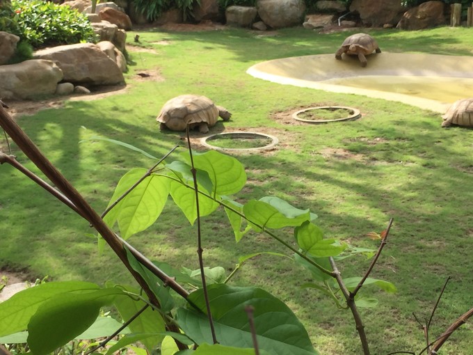 珠海长隆海洋王国游记作文,珠海长隆海洋王国一日游攻略